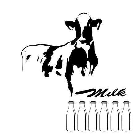 Portrait of a big black and white cow vectorのイラスト素材