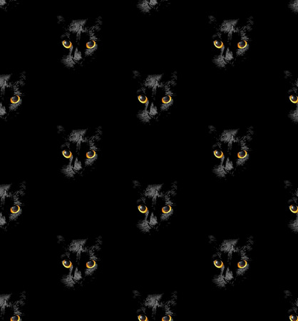 Pattern of head of black cat with glowing Golden eyesの写真素材