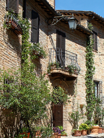 Home various flowers in pots. Design Italian courtyards around the house.のeditorial素材