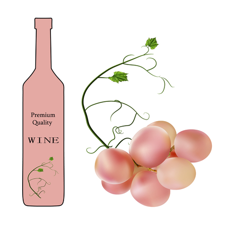 Fresh bunch of grapes and wine.のイラスト素材