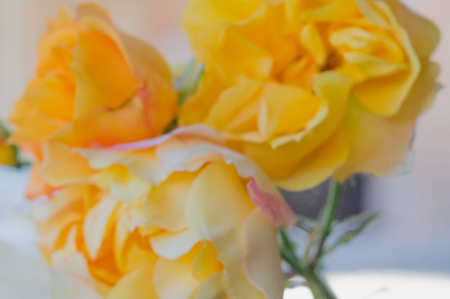 Abstract floral blur in shades of yellow. Blurred red flower background for magazines and booklets, greeting cards.の写真素材