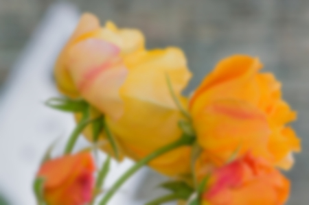 Abstract floral blur in shades of yellow. Blurred red flower background for magazines and booklets, greeting cards.の写真素材