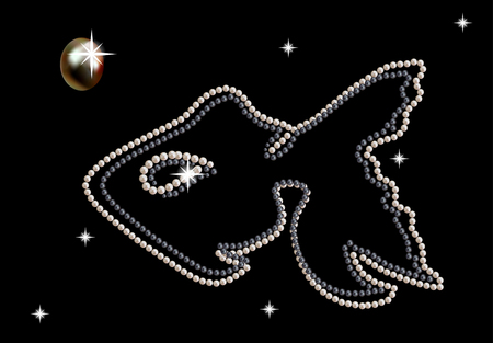 Jewel figurine fish decorated with white pearls on black backgroundの写真素材