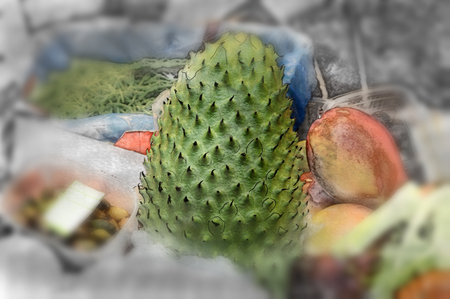 Vintage illustration of the exotic fruit Guanabana on the market table on a blurred background