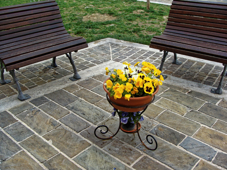 Home various flowers in pots. Design Italian courtyards around the house.の写真素材