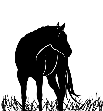 Silhouette black and white beautiful Arabian horse with developing maneのイラスト素材