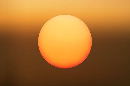 Abstract mystical background with unusual animals at sunset. Fantastic images and symbols in painting for backgrounds and screensavers.のイラスト素材
