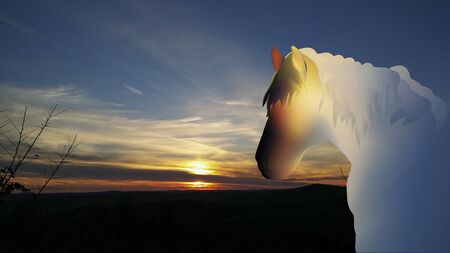 Silhouette of beautiful horse sunset and sunrise.の写真素材