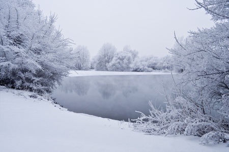 Winter background with trees, lake and snow の写真素材