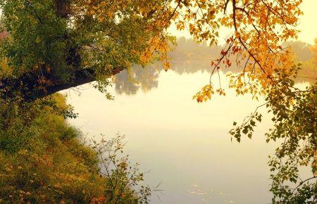 Autumn background with trees and waterの写真素材