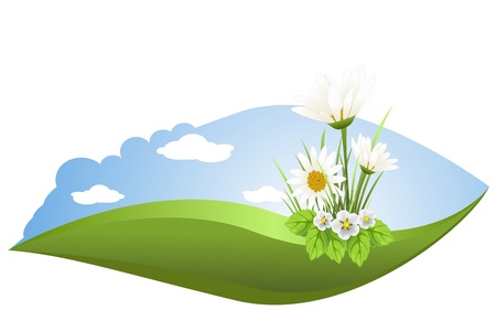 The field of daisiesのイラスト素材