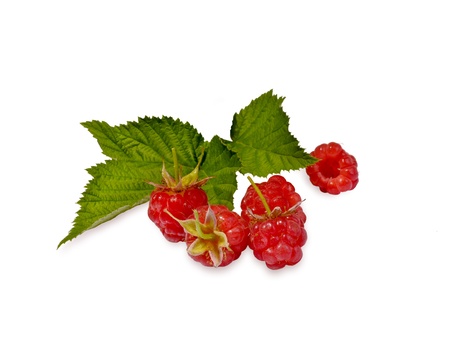 raspberries