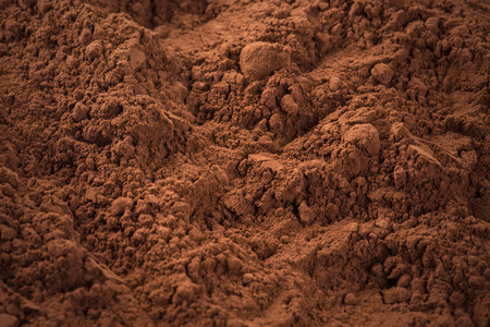 Cocoa Powder Backgroundの写真素材