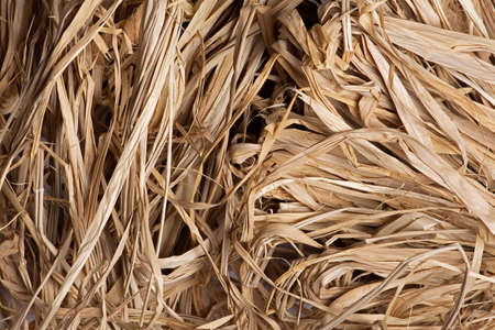 Dry Hay Straw background