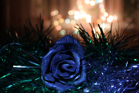 Iron blue rose in the tinsel on blurred background with bokeh.の写真素材