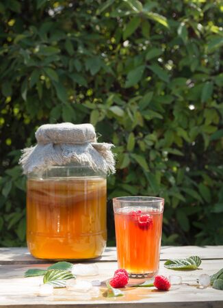 Glass jar with Kombucha, poured glass with Kombucha and raspberries and ice, in the summer garden on natural green background.の写真素材