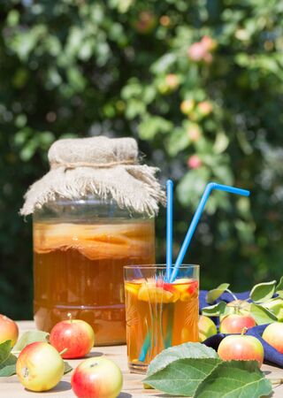Kombucha drink in a glass jar and a glass with two straws, fermented apples, on a wooden table, on natural green blurred background. Rustic style. Copy space.の写真素材