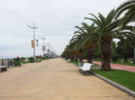 The embankment of the city of Batumi with green palm trees in the Batumi seaside Park.の写真素材