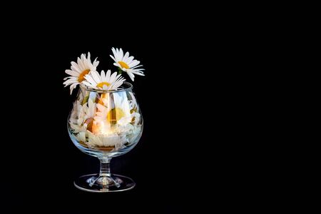Chamomile flowers in a glass cup on a black background. Selective focus. Copy space.の写真素材