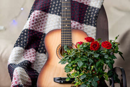 Guitar and rose bushes against a checkered plaid on a chair in the roomの写真素材