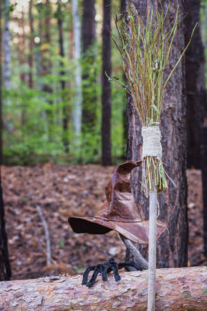 A witch's hat, a broomstick and a spider in the woods