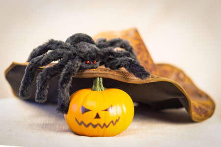 A black shaggy spider with red eyes sits on the witch's hat, and a Halloween pumpkin lies nearby