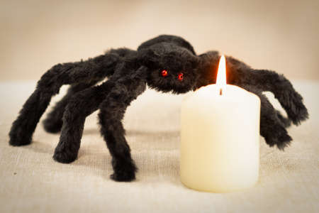 A black shaggy spider with red eyes looks at a burning white candleの写真素材