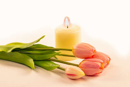 Bouquet of tulips on the background of a burning white candle, selective focusの写真素材