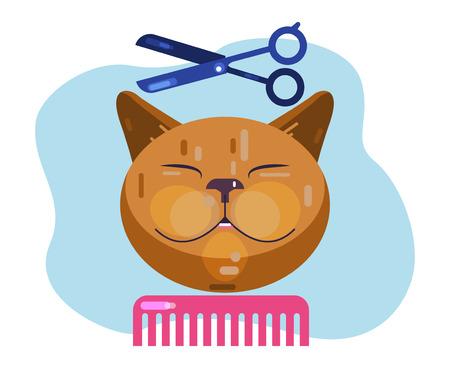 Cat grooming. Haircut cat. Salon for animalsのイラスト素材