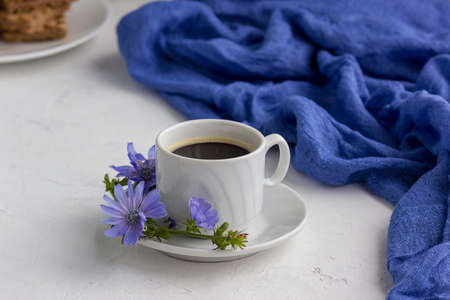 Diet drink chicory in a cup, coffee substitute. Cichorium intybus flowerの写真素材