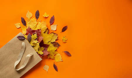 Autumn leaves in a bag on an orange background. Top view, place for text.の写真素材