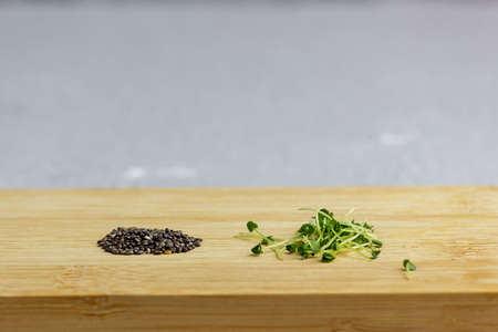 Fresh chia sprouts and dry seeds on a wooden board. natural food. Selective focus, place for text.の写真素材