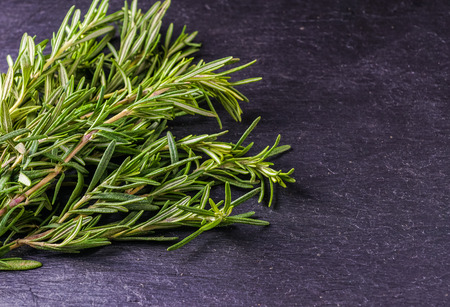 Frame on the black background with rosemary and  thyme, with copy space.の写真素材
