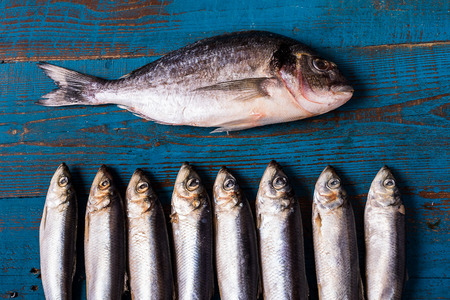 Rustic style. Fish pattern. Herring fish and sea bass fish on an old blue wooden background, flat...