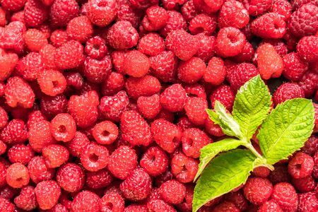 Red fresh ripe raspberry background. Summer concept. Flat lay.