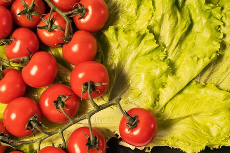 Food concept. Flat lay of organic cherry tomato over lettuce background.の写真素材
