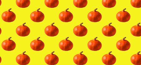Seamless Pattern with orange pumpkin on yellow color background,panorama.の写真素材