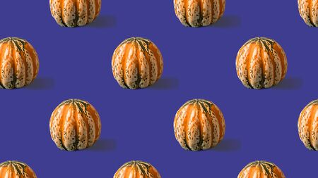 Seamless Pattern with with yellow pumpkin on purple background.の写真素材