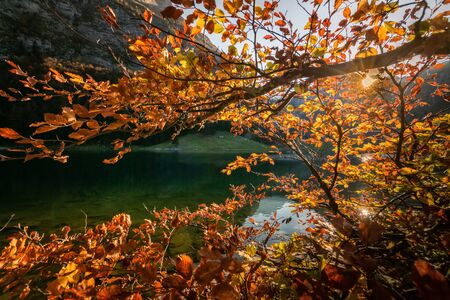 Autumn mountain landscape with small lake in Switzerland.の写真素材