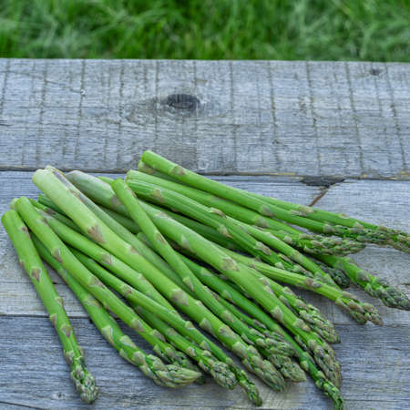 Bunch of fresh green asparagus spears on a rustic wooden table summer outdoor, top view.の写真素材