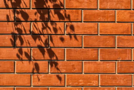 The texture of a sunlit red brick wall with the shadow of a tree.の写真素材