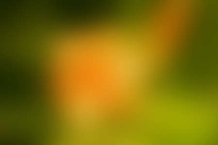 Blurry bright multicolored unfocused abstract background, horizontal.の写真素材