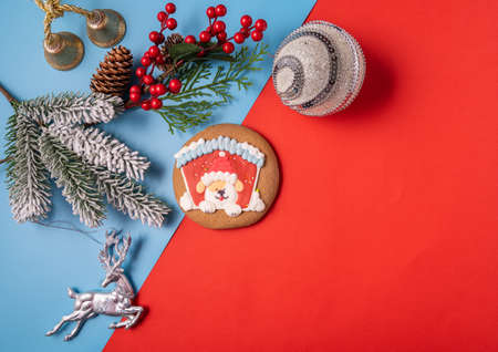 Festive Christmas and new year decorations with gift boxes, gingerbread, cones, toy deer on blue and red background. Christmas concept.の写真素材