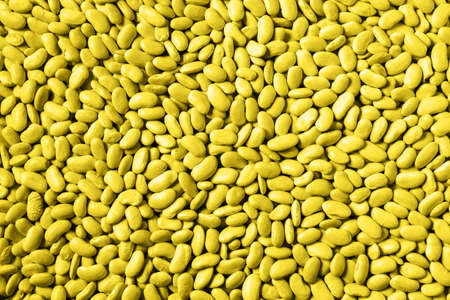 Legumes of ultimate gray color - the fashionable color of 2021, flat lay.の写真素材