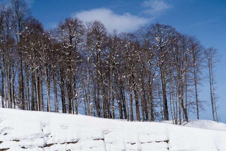 Panoramic view the caucasus mountains of the ski resort Krasnaya Polyana, Sochi, Russia