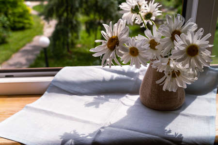 Glass of white wine over green garden background, outdoor.の写真素材