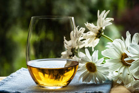 Glass of white wine over green garden background, outdoor.の写真素材