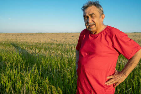 Portrait of 70-year-old elderly man in a red T-shirt who calmly and attentively looks at the camera, in the field, ebfore sunset.の写真素材
