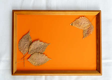 Photo frame and small dry leaves on pastel orange background. Mock up with decor elements.の写真素材