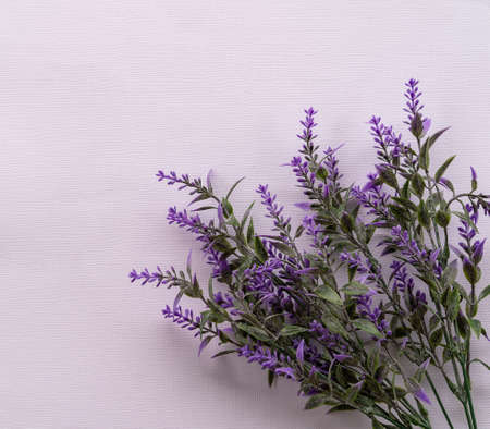 Flowers composition spring. Blank photo frame and mimosa flowers on pastel blue background. Flat lay, top view, copy spaceの写真素材